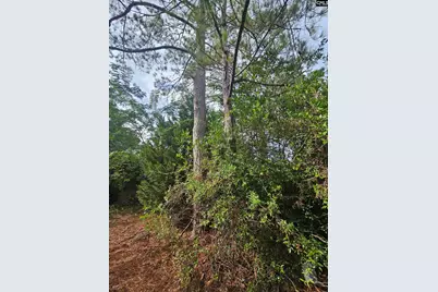 1921 Edgehill Road, Columbia, SC 29204 - Photo 9