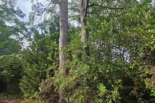 1921 Edgehill Rd, Columbia, SC 29204 - Photo 9