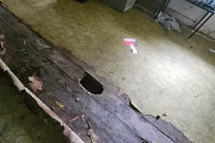 1921 Edgehill Rd, Columbia, SC 29204 - Photo 21