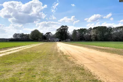 1404 Dog Island Rd, Bishopville, SC 29010 - Photo 3