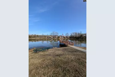 646 Village Market Drive, Chapin, SC 29036 - Photo 33