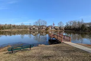 646 Village Market Dr, Chapin, SC 29036 - Photo 33