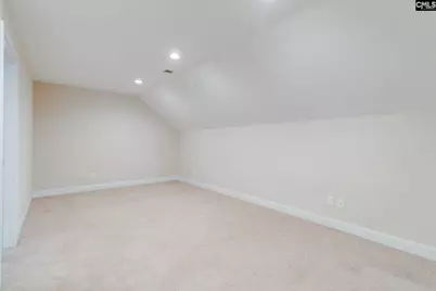 141 Palm Street, Chapin, SC 29036 - Photo 35