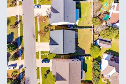 141 Palm Street, Chapin, SC 29036 - Photo 51