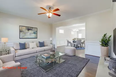 141 Palm Street, Chapin, SC 29036 - Photo 3