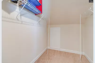 141 Palm Street, Chapin, SC 29036 - Photo 33