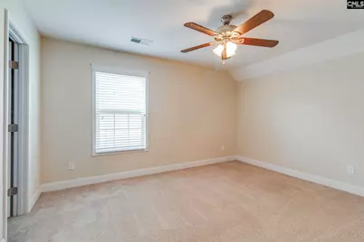 141 Palm Street, Chapin, SC 29036 - Photo 29