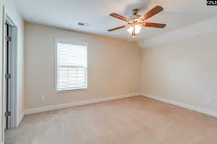 141 Palm St, Chapin, SC 29036 - Photo 29