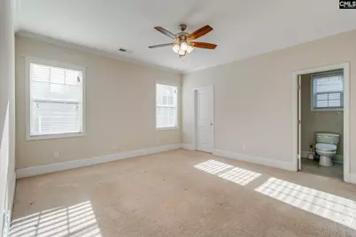 141 Palm Street, Chapin, SC 29036 - Photo 15