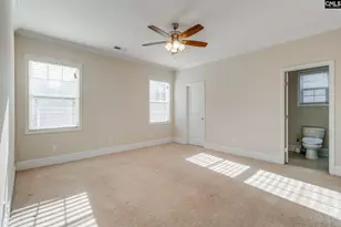 141 Palm St, Chapin, SC 29036 - Photo 15