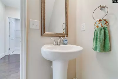 141 Palm Street, Chapin, SC 29036 - Photo 39