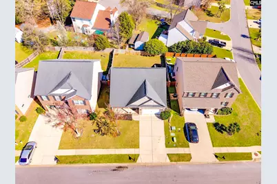 141 Palm Street, Chapin, SC 29036 - Photo 49