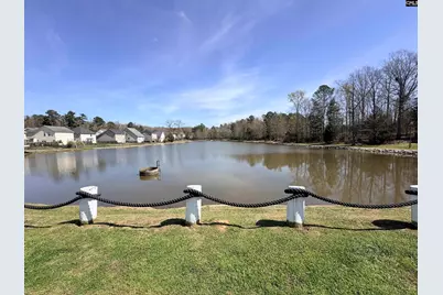 141 Palm Street, Chapin, SC 29036 - Photo 47