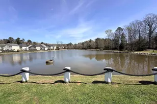 141 Palm St, Chapin, SC 29036 - Photo 47