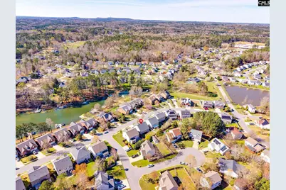 141 Palm Street, Chapin, SC 29036 - Photo 53