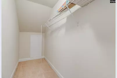 141 Palm Street, Chapin, SC 29036 - Photo 27