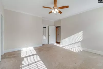 141 Palm Street, Chapin, SC 29036 - Photo 19