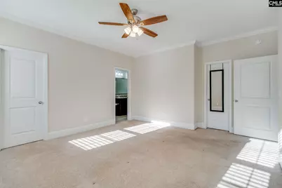 141 Palm Street, Chapin, SC 29036 - Photo 17