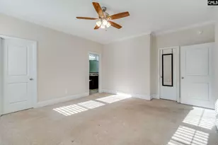 141 Palm St, Chapin, SC 29036 - Photo 17