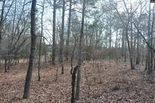 4533 Calks Ferry Rd, Leesville, SC 29070 - Photo 87