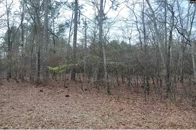 4533 Calks Ferry Road, Leesville, SC 29070 - Photo 85