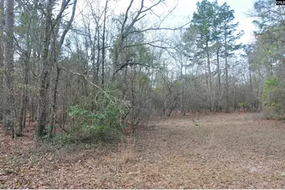4533 Calks Ferry Road, Leesville, SC 29070 - Photo 83