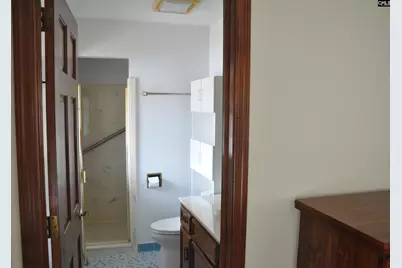 4533 Calks Ferry Road, Leesville, SC 29070 - Photo 73