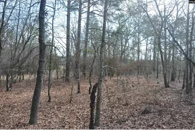 4533 Calks Ferry Road 1, Leesville, SC 29070 - Photo 87
