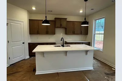 582 Griffon Drive, Chapin, SC 29036 - Photo 5