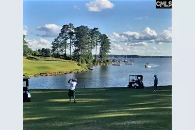 302 Lookout Hill Drive, Chapin, SC 29036 - Photo 43