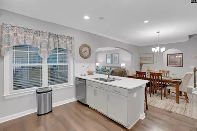 719 Long Iron Lane, Blythewood, SC 29016 - Photo 11