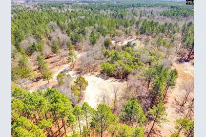 1397 Robinson Town Road, Cassatt, SC 29032 - Photo 3