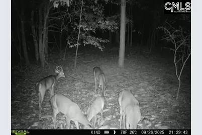 1397 Robinson Town Road, Cassatt, SC 29032 - Photo 15