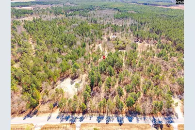 1397 Robinson Town Road, Cassatt, SC 29032 - Photo 5