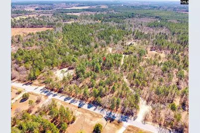 1397 Robinson Town Road, Cassatt, SC 29032 - Photo 11