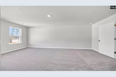 423 Leathertree Lane, Blythewood, SC 29016 - Photo 19