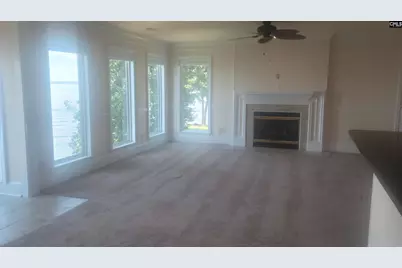 1441 Old Chapin Road 123, Lexington, SC 29072 - Photo 11