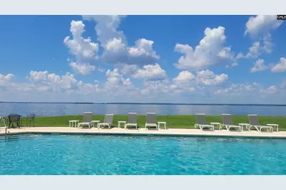 1441 Old Chapin Road 123, Lexington, SC 29072 - Photo 59