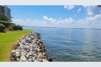 1441 Old Chapin Road 123, Lexington, SC 29072 - Photo 61