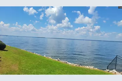1441 Old Chapin Road 123, Lexington, SC 29072 - Photo 59
