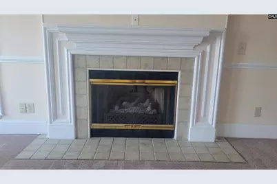 1441 Old Chapin Road 123, Lexington, SC 29072 - Photo 31