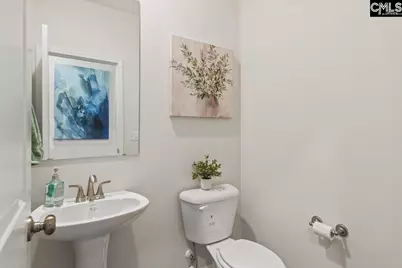 515 Blue Jay Way, Lexington, SC 29073 - Photo 9