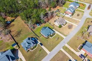 116 Renard Way, Gilbert, SC 29054 - Photo 65