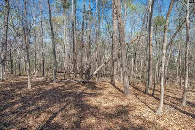 624 Beaver Park Drive #27, Elgin, SC 29045 - Photo 7