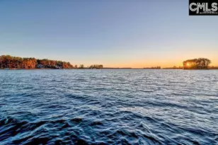 627 Calabria Ct, Chapin, SC 29036 - Photo 39