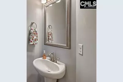 627 Calabria Court, Chapin, SC 29036 - Photo 5