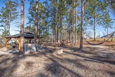 652 Rose Quartz Lane, Lexington, SC 29073 - Photo 45