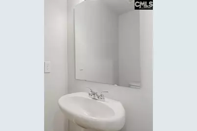 217 Flatsedge Court, Lexington, SC 29072 - Photo 25