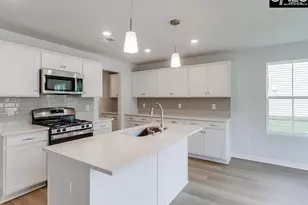 217 Flatsedge Ct, Lexington, SC 29072 - Photo 7