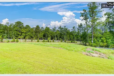 217 Flatsedge Court, Lexington, SC 29072 - Photo 21